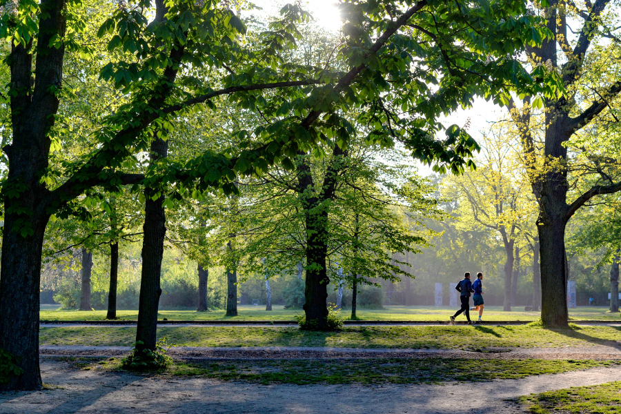 people running through a park