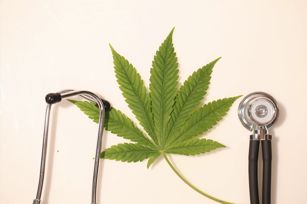 Stethoscope and marijuana leaf.