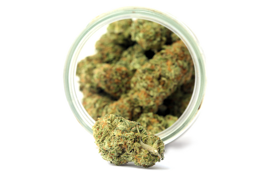 a photo of cannabis buds in a mason jar