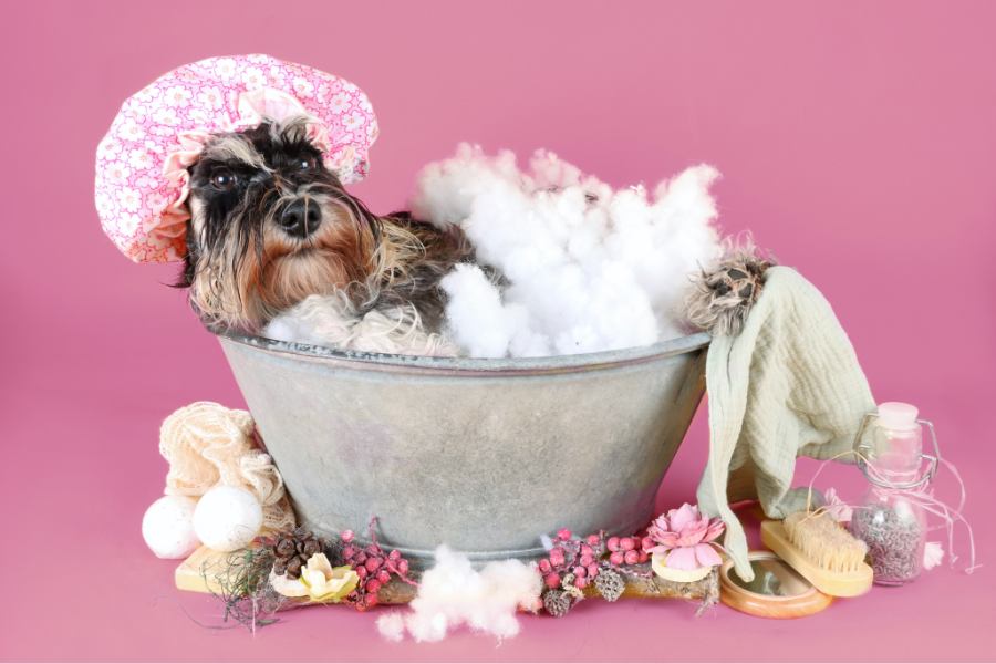 a dog in a bath wearing a shower cap