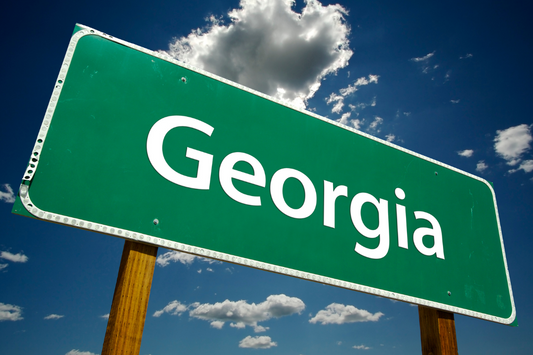 a green road sign that says georgia on it