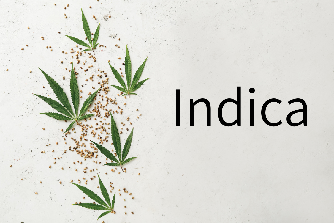 the word indica next to cannabis leaves and seeds