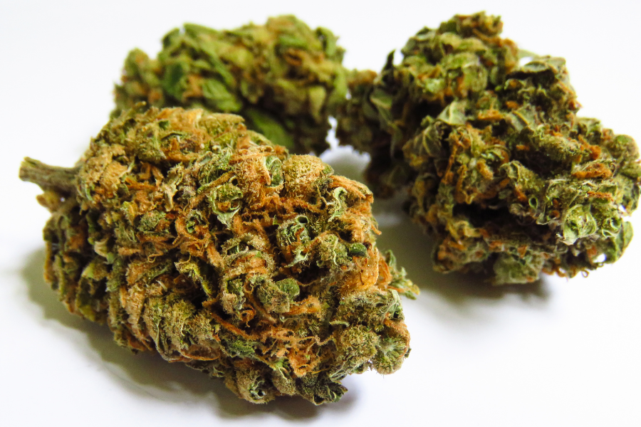three cannabis buds on a white table