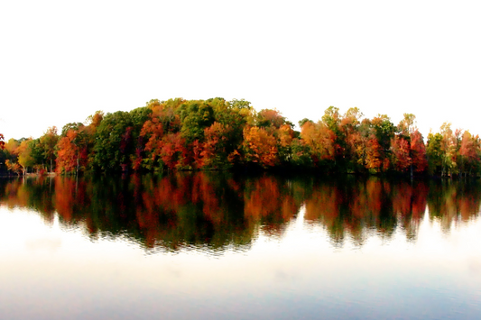 a tree lined lake in north carolina