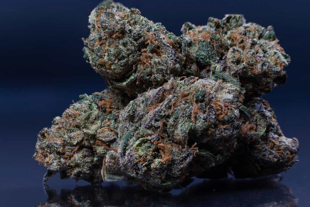 Top Runtz Strains What Are The Best?