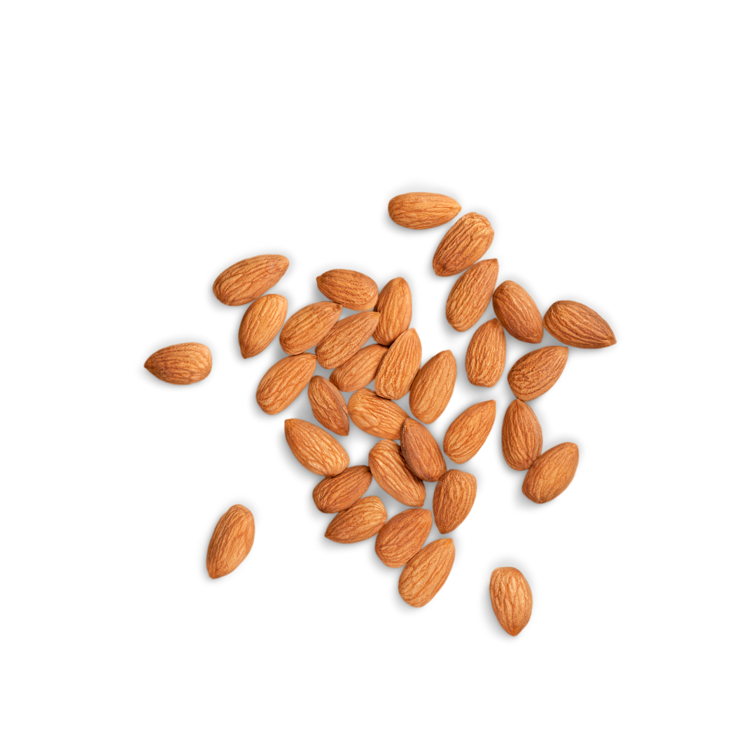 scattered almonds