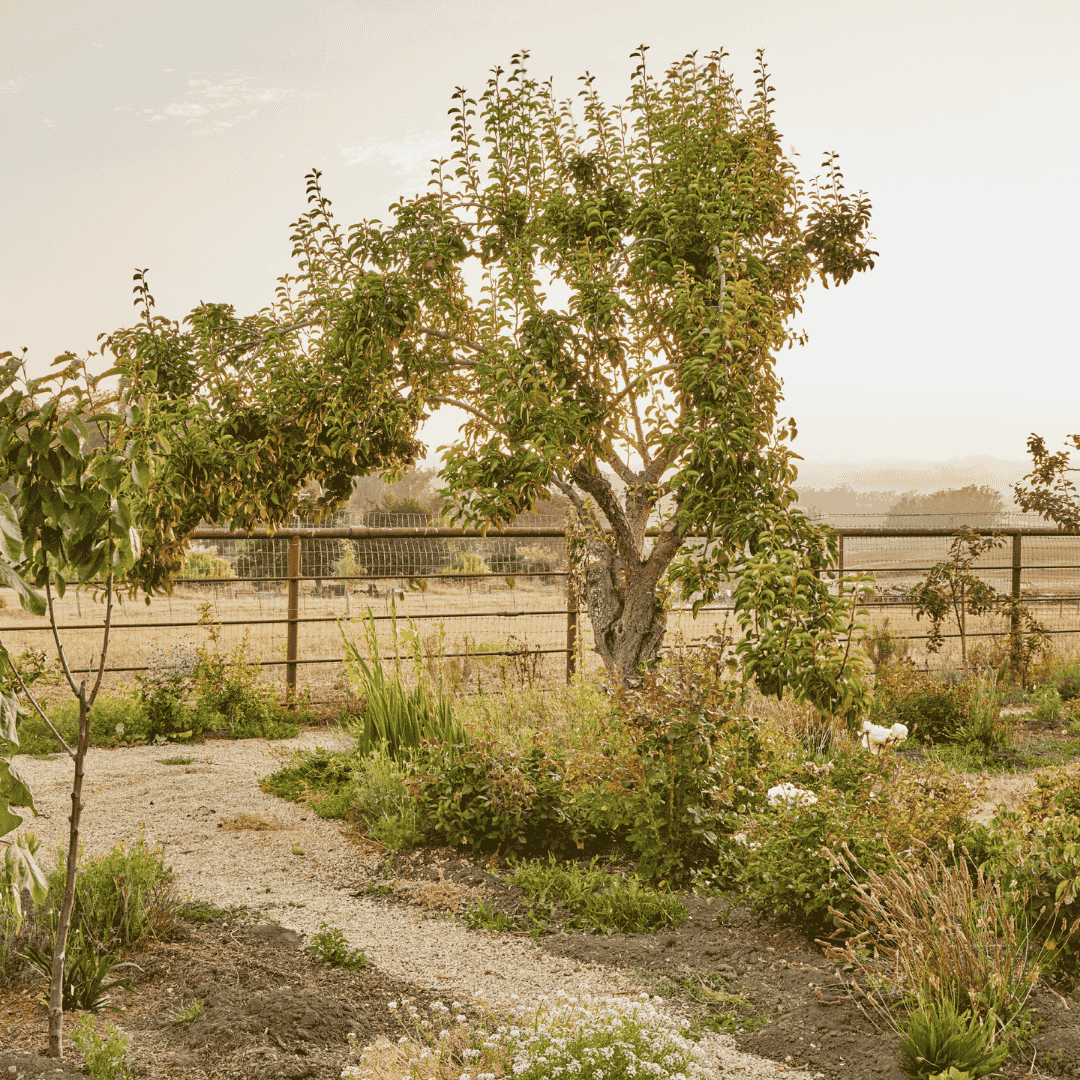 sonoma hills farm