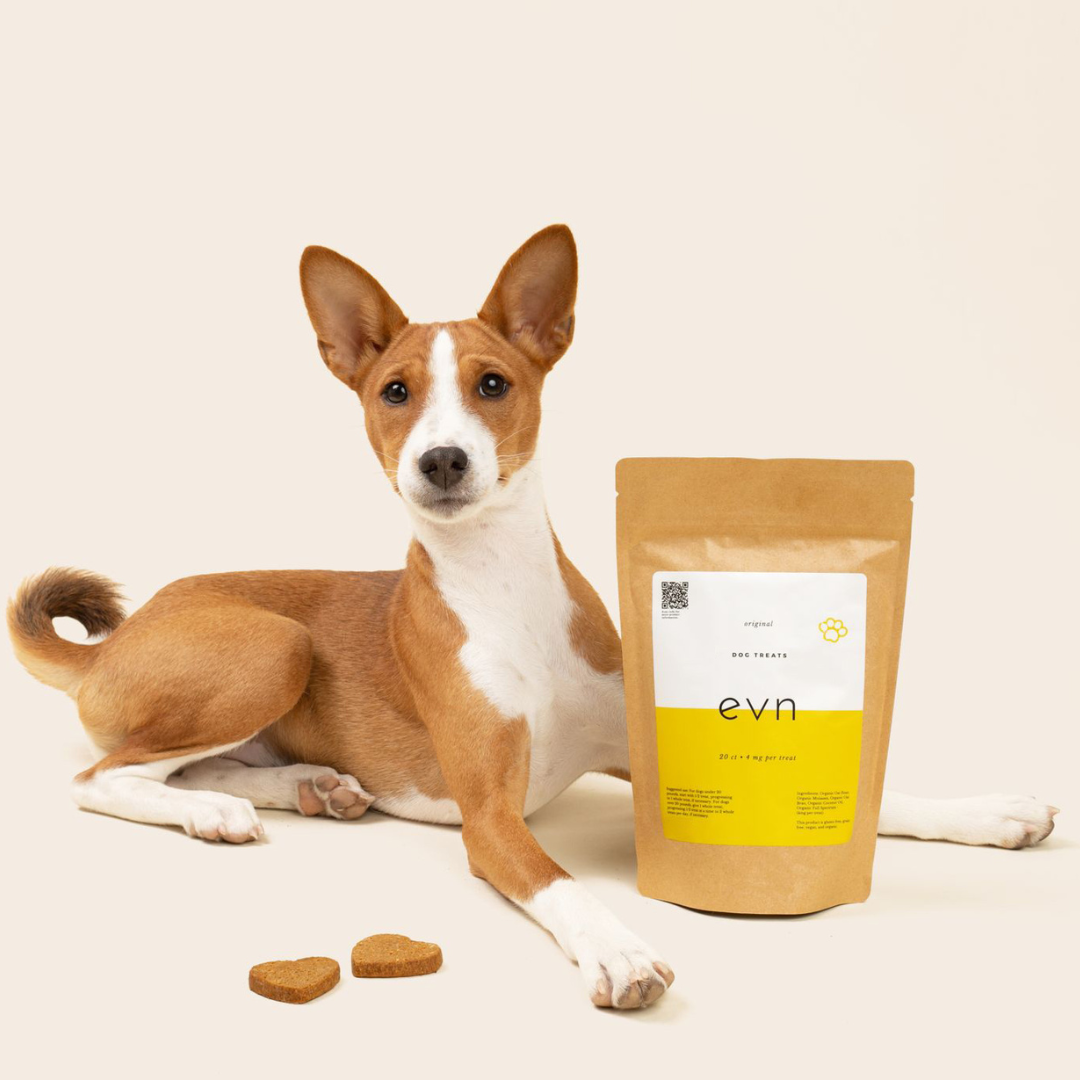 Organic cbd dog 2024 treats